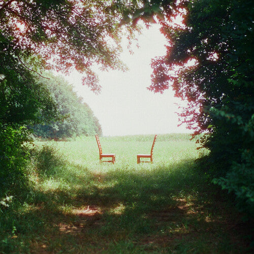Ratboys - Singin'To An Empty Chair DOUBLE LP INDIE OLIVE VINYL