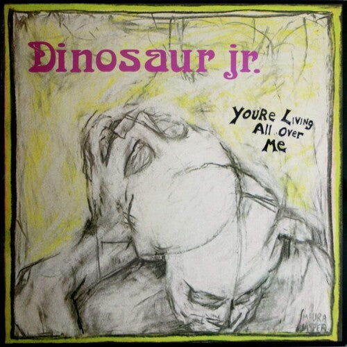 Dinosaur Jr. - You're Living All Over Me ECO MIX LP